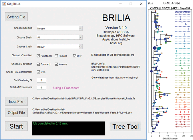 The Web-based server and user interface for the immmunosequencing annotation tool BRILIA, which is available to all DoD vaccine researchers. The B cell lineage map on the right annotates the evolution of vaccine-induced antibody responses from the immunosequencing data.