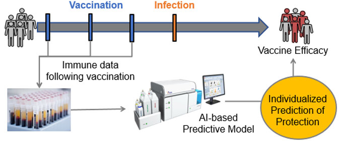 During a vaccine clinical trial, immunological data are collected at several time points following vaccination, prior to infection. Data from each subject are then fed into an AI-based model to make an individualized prediction of protection, which is compared with the clinically observed protection status of that subject. An accurate predictive model can be used to determine what combination of immune responses is most responsible for protection, providing a basis for guiding future vaccine design efforts.
