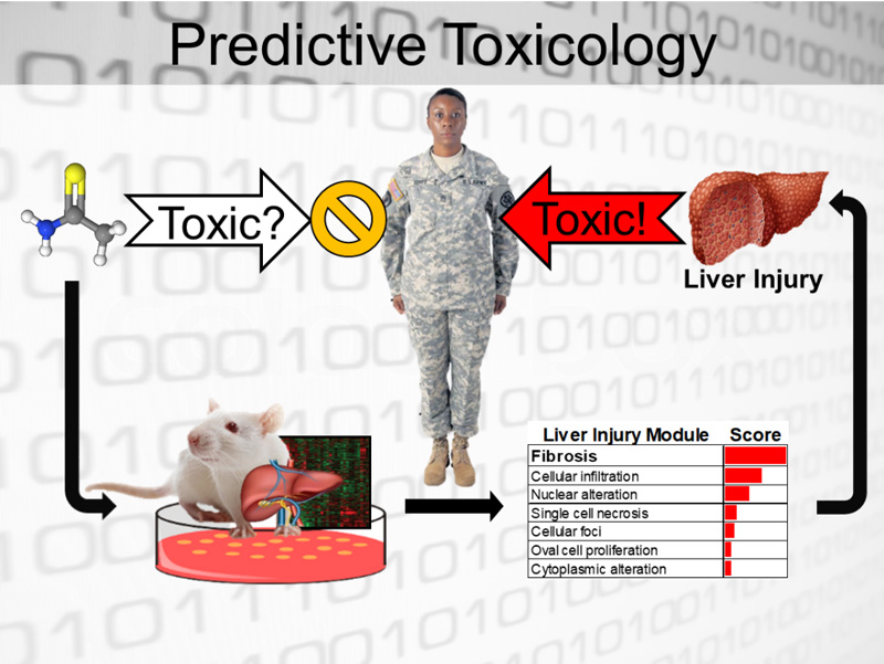A computational approach to bridge in vitro and in vivo experiments, both within and across species. Data from Toxicogenomics Project-Genomics Assisted Toxicity Evaluation System (TG-GATEs) were used to identify key genes (modules) associated with liver injuries in rats in vivo, which were validated and further tested in rat in vitro and in human in vitro studies.