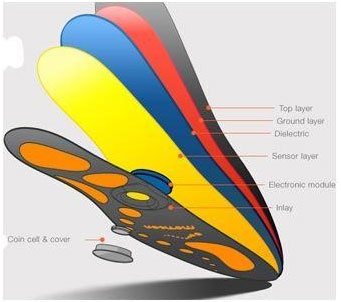 Cross-sectional view of how strike pattern data was captured in the study.